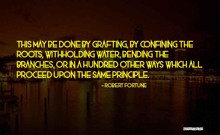 Roots Branches Quotes By Robert Fortune Roots Branches Quotes By Robert Fortune