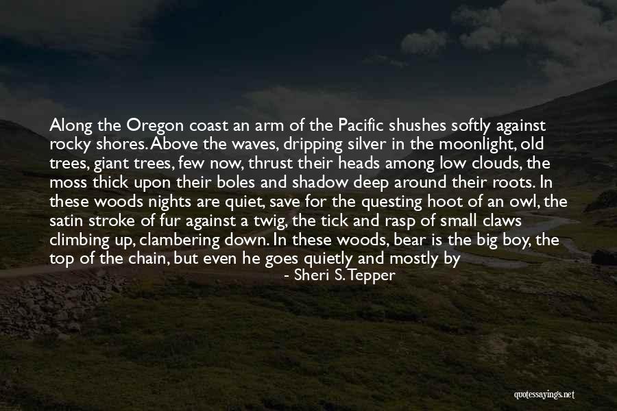 Roots Branches Quotes By Sheri S. Tepper Roots Branches Quotes By Sheri S. Tepper