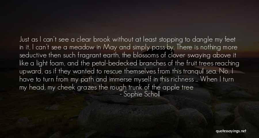 Roots Branches Quotes By Sophie Scholl Roots Branches Quotes By Sophie Scholl