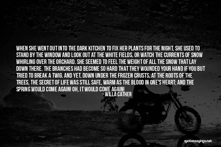 Roots Branches Quotes By Willa Cather Roots Branches Quotes By Willa Cather