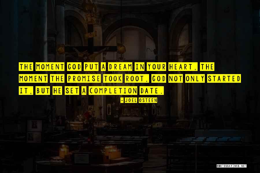 Roots In God Quotes By Joel Osteen Roots In God Quotes By Joel Osteen