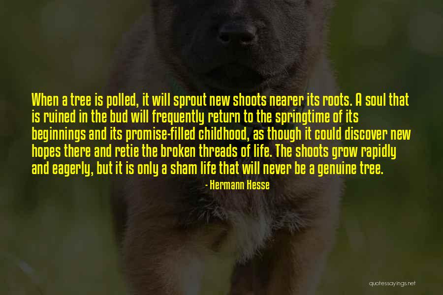 Roots Of A Tree Quotes By Hermann Hesse Roots Of A Tree Quotes By Hermann Hesse