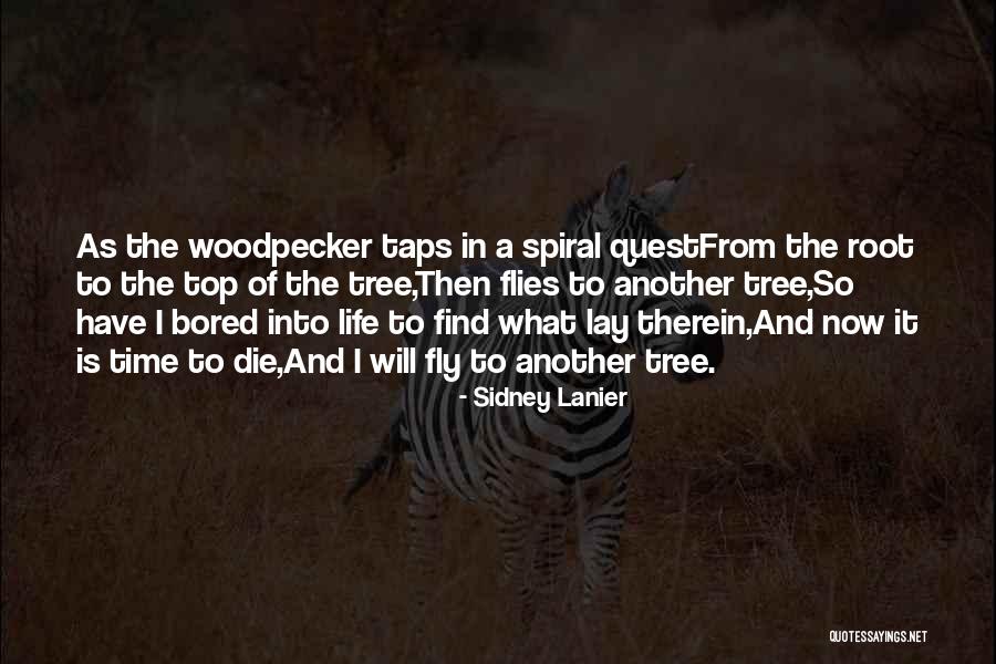 Roots Of A Tree Quotes By Sidney Lanier Roots Of A Tree Quotes By Sidney Lanier