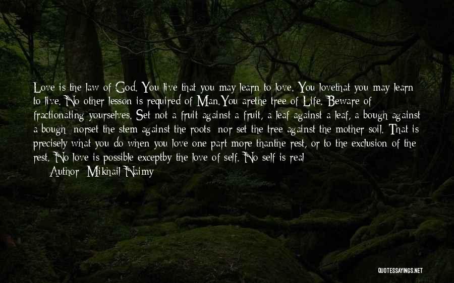 Roots Of Love Quotes By Mikhail Naimy
