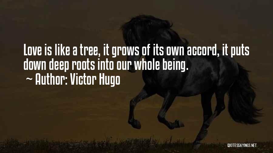 Roots Of Love Quotes By Victor Hugo