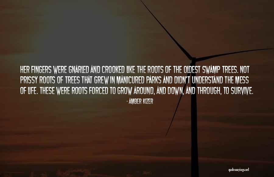 Roots Of Trees Quotes By Amber Kizer Roots Of Trees Quotes By Amber Kizer
