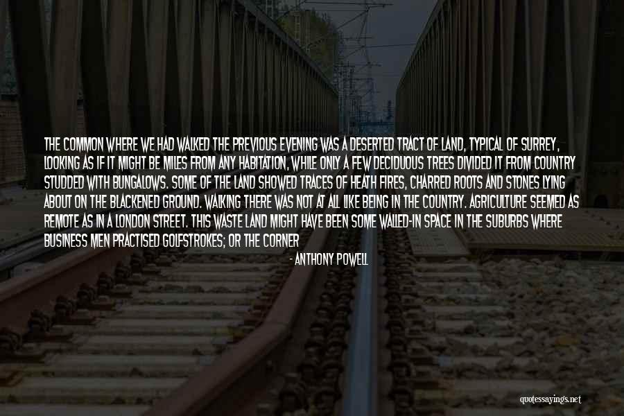 Roots Of Trees Quotes By Anthony Powell Roots Of Trees Quotes By Anthony Powell