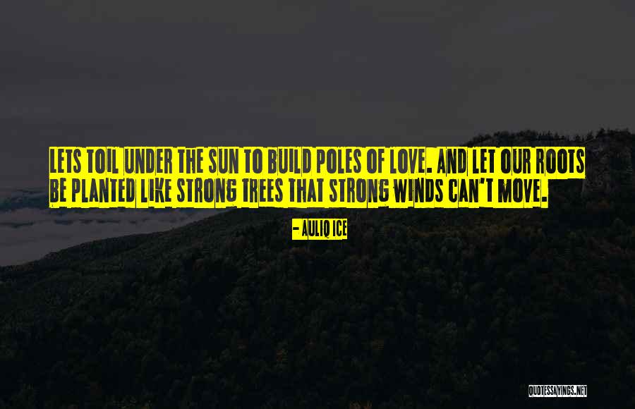 Roots Of Trees Quotes By Auliq Ice Roots Of Trees Quotes By Auliq Ice