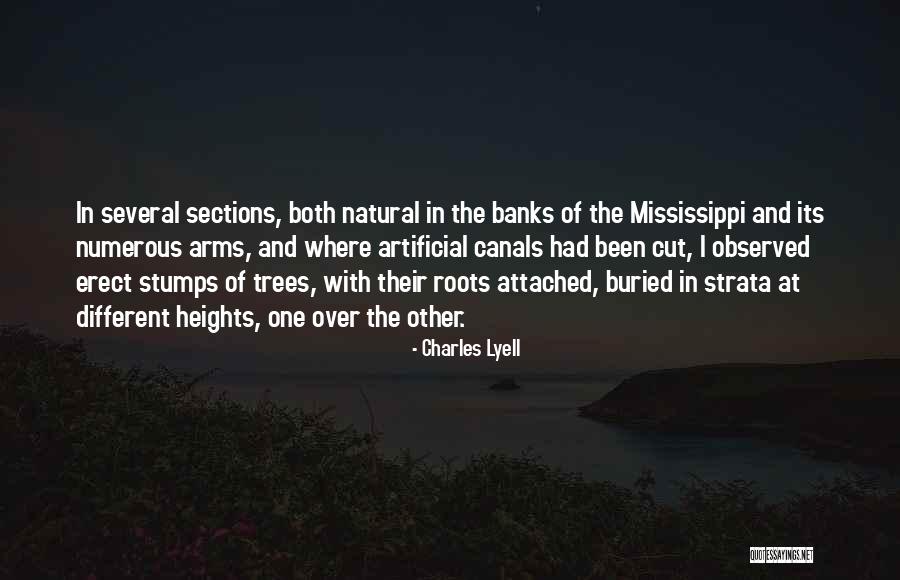 Roots Of Trees Quotes By Charles Lyell Roots Of Trees Quotes By Charles Lyell