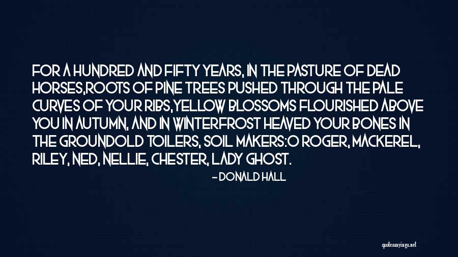 Roots Of Trees Quotes By Donald Hall Roots Of Trees Quotes By Donald Hall