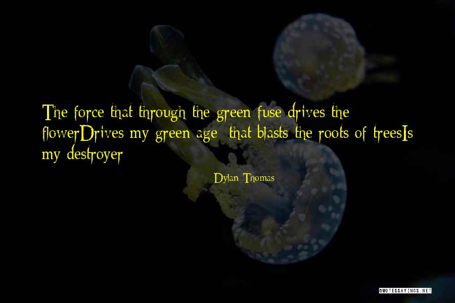 Roots Of Trees Quotes By Dylan Thomas Roots Of Trees Quotes By Dylan Thomas