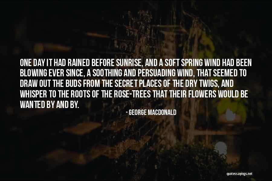 Roots Of Trees Quotes By George MacDonald Roots Of Trees Quotes By George MacDonald
