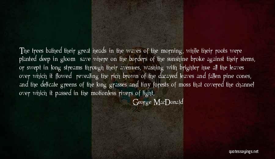 Roots Of Trees Quotes By George MacDonald Roots Of Trees Quotes By George MacDonald