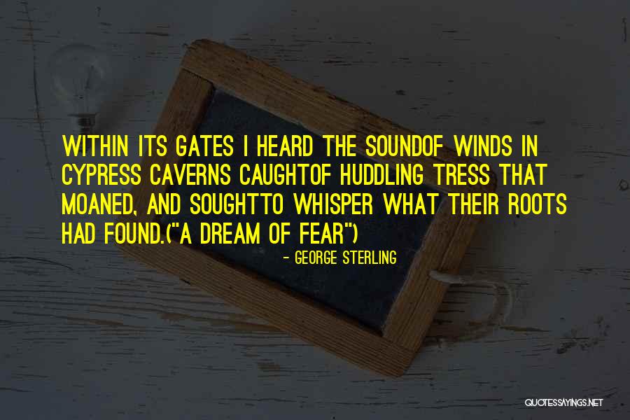 Roots Of Trees Quotes By George Sterling Roots Of Trees Quotes By George Sterling