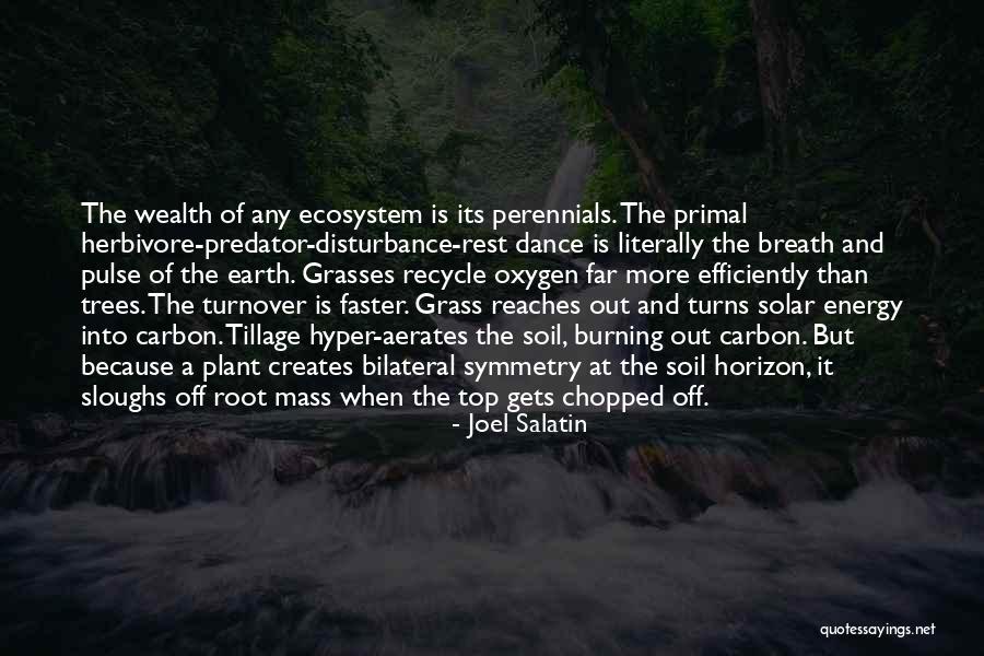 Roots Of Trees Quotes By Joel Salatin Roots Of Trees Quotes By Joel Salatin