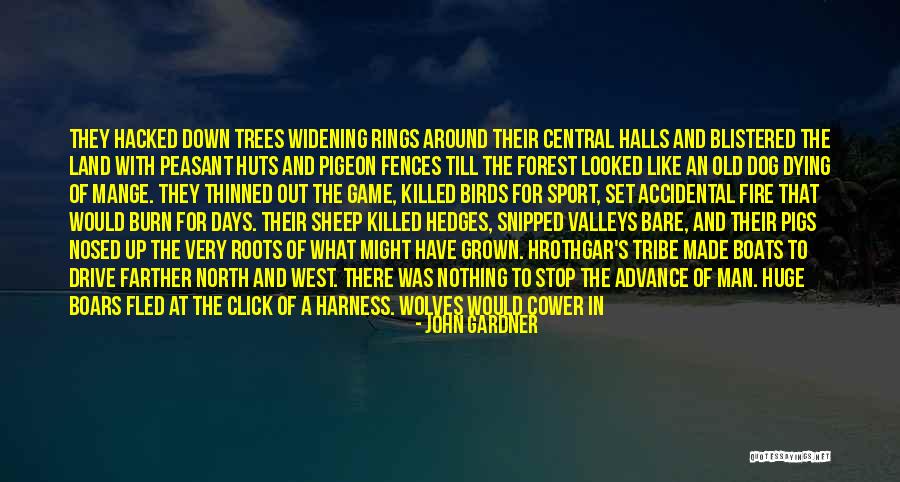 Roots Of Trees Quotes By John Gardner Roots Of Trees Quotes By John Gardner