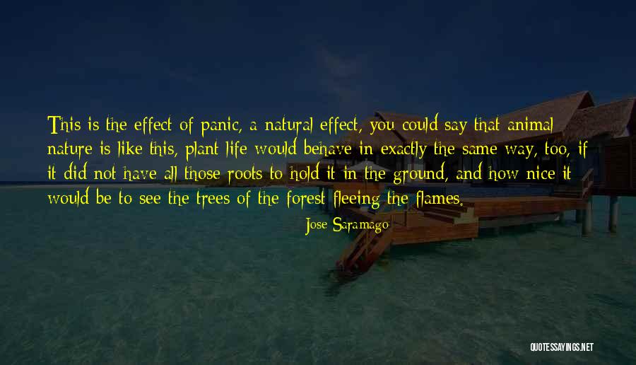 Roots Of Trees Quotes By Jose Saramago Roots Of Trees Quotes By Jose Saramago