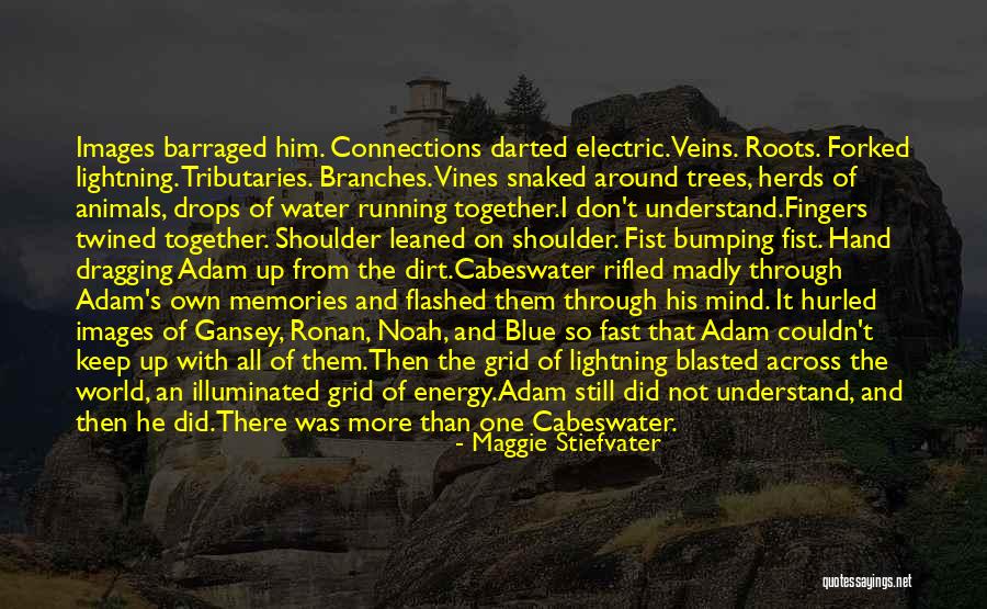 Roots Of Trees Quotes By Maggie Stiefvater Roots Of Trees Quotes By Maggie Stiefvater