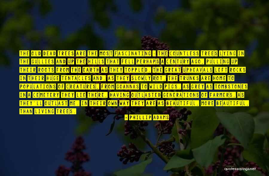 Roots Of Trees Quotes By Phillip Adams Roots Of Trees Quotes By Phillip Adams