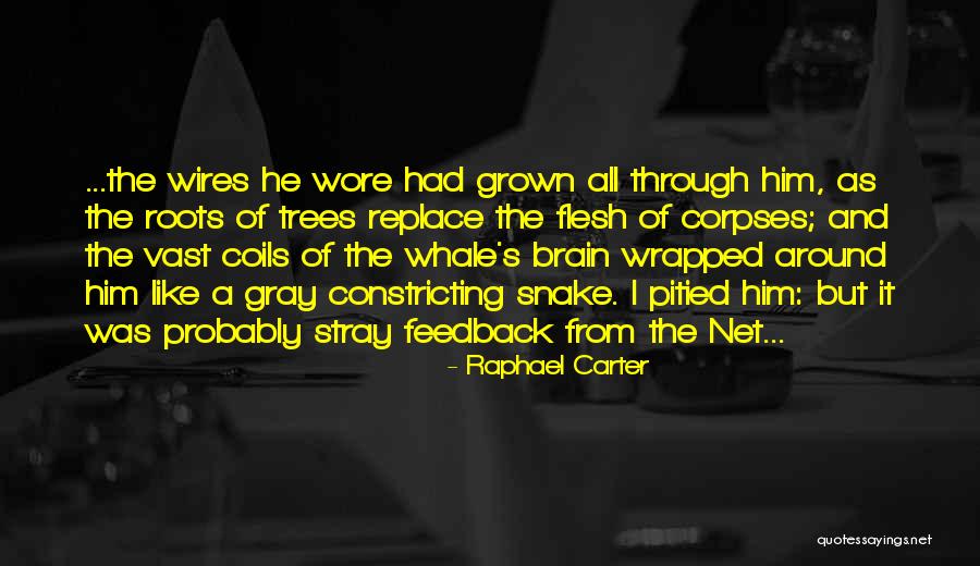 Roots Of Trees Quotes By Raphael Carter Roots Of Trees Quotes By Raphael Carter