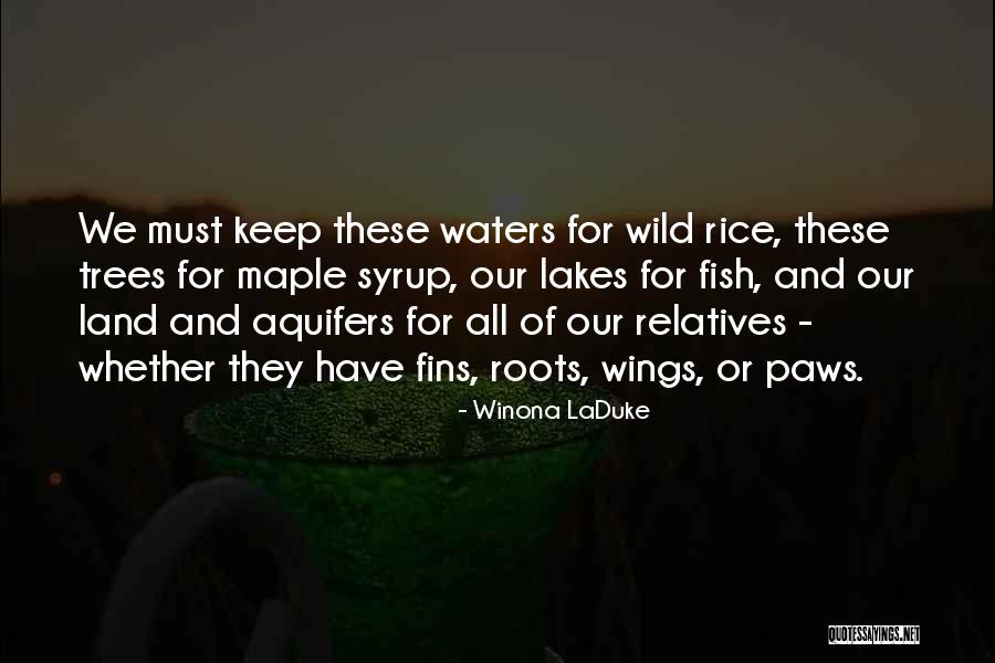Roots Of Trees Quotes By Winona LaDuke Roots Of Trees Quotes By Winona LaDuke