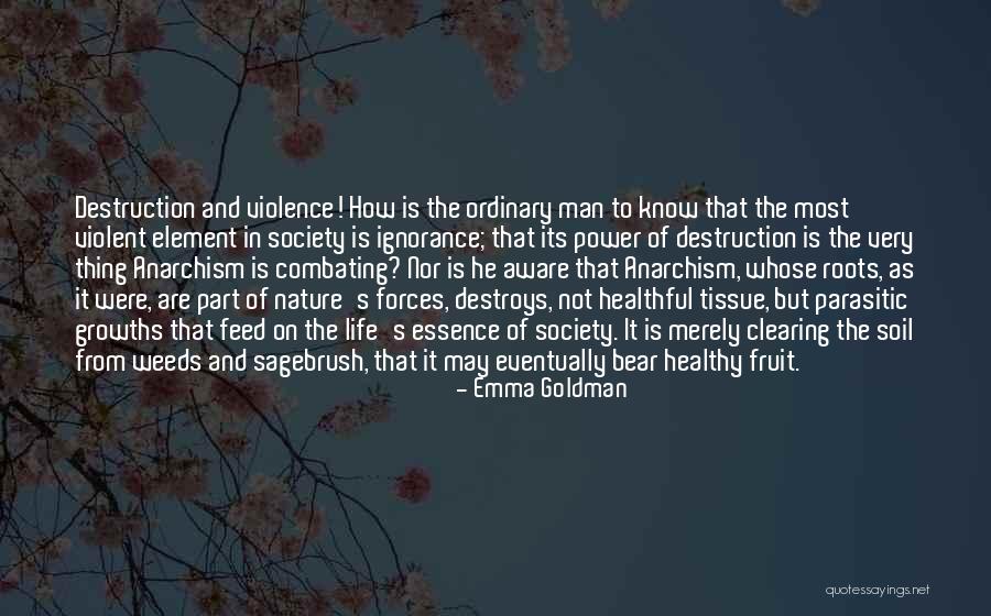 Roots Of Violence Quotes By Emma Goldman