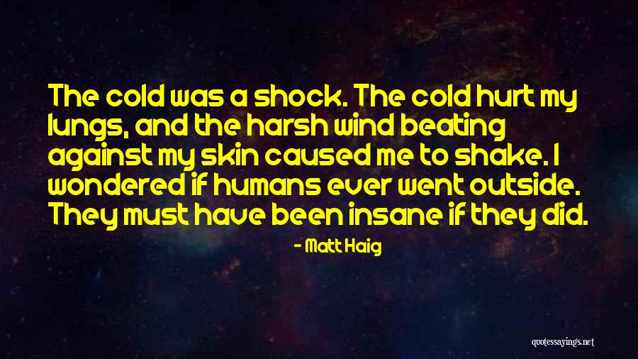 Roozbeh Hosseini Quotes By Matt Haig Roozbeh Hosseini Quotes By Matt Haig