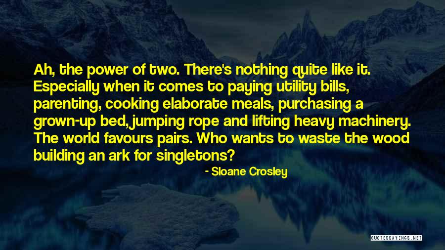 Rope Jumping Quotes By Sloane Crosley