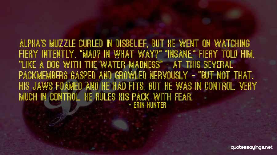 Rophi Clinic Quotes By Erin Hunter Rophi Clinic Quotes By Erin Hunter