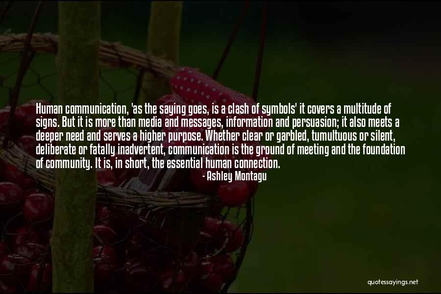 Roque De La Fuente Quotes By Ashley Montagu Roque De La Fuente Quotes By Ashley Montagu