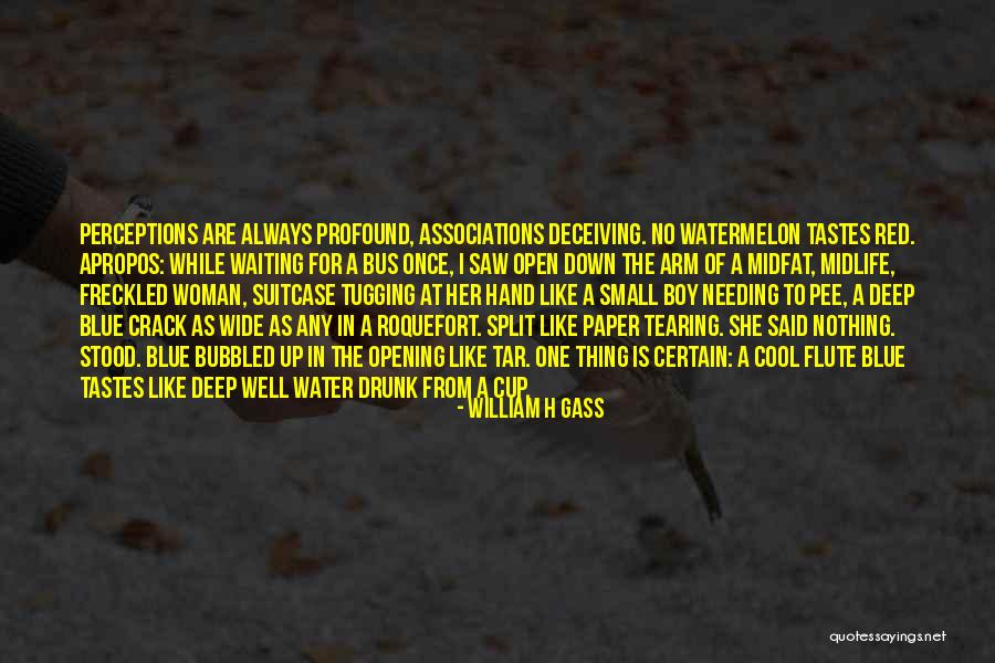 Roquefort Quotes By William H Gass Roquefort Quotes By William H Gass