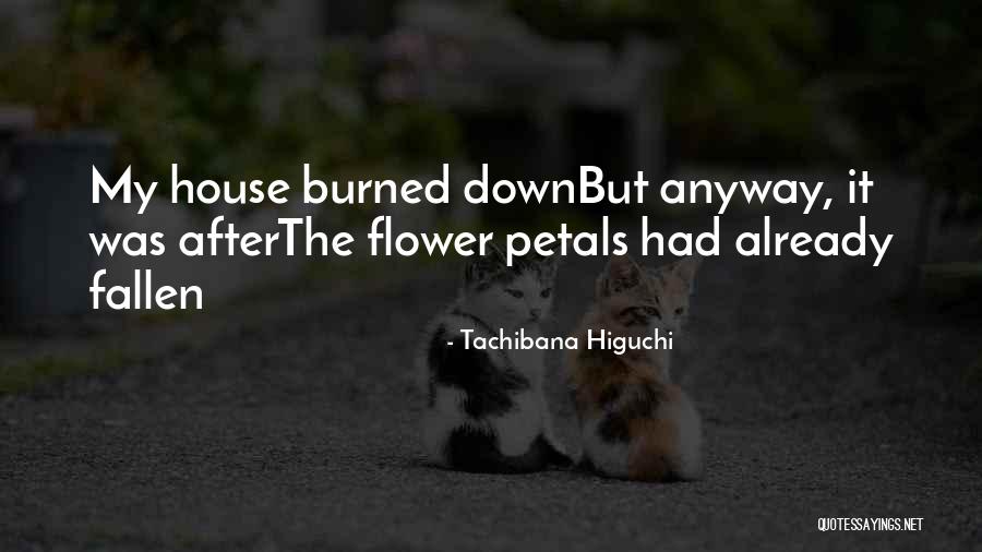 Rorem And Beatty Quotes By Tachibana Higuchi Rorem And Beatty Quotes By Tachibana Higuchi