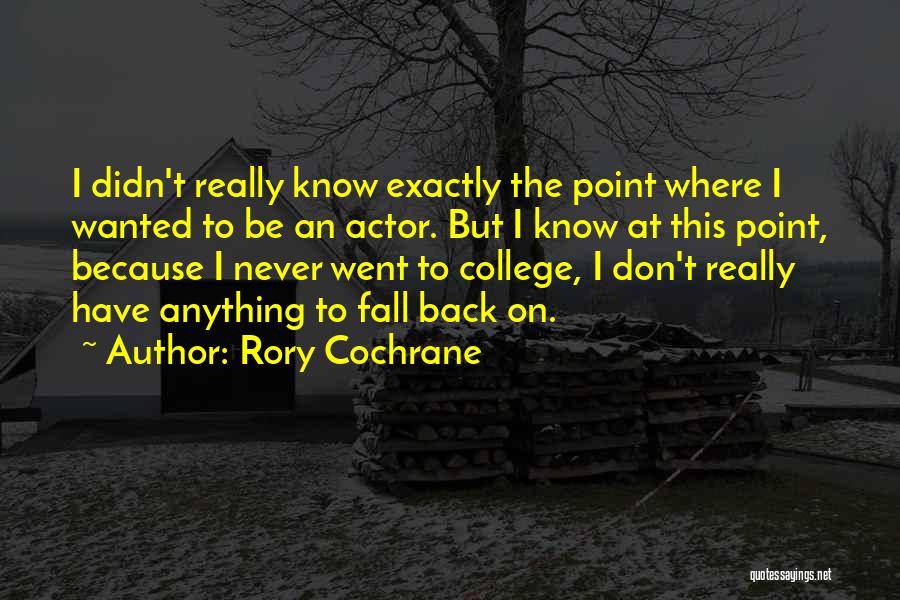 Rory Cochrane Quotes 1226617