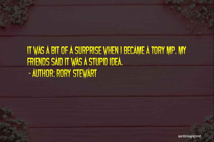 Rory Stewart Quotes 1183986