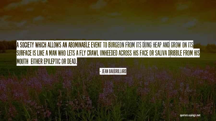 Rosa Tiktok Quotes By Jean Baudrillard Rosa Tiktok Quotes By Jean Baudrillard