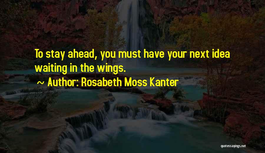 Rosabeth Moss Kanter Quotes 1891231