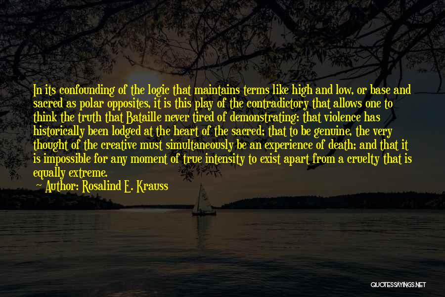 Rosalind E. Krauss Quotes 1063267