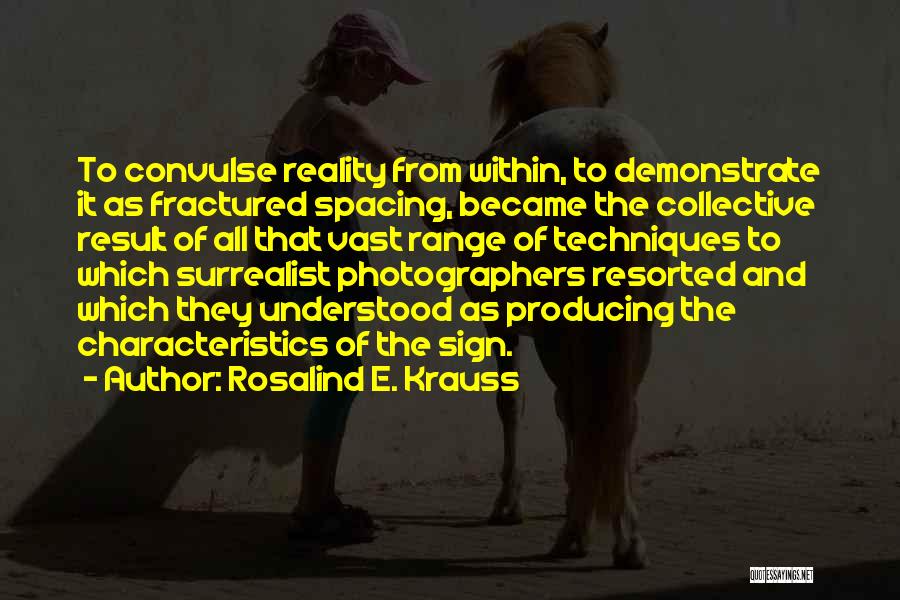 Rosalind E. Krauss Quotes 2051961