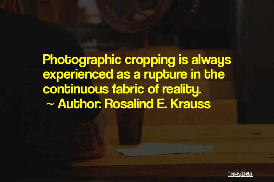 Rosalind E. Krauss Quotes 839955