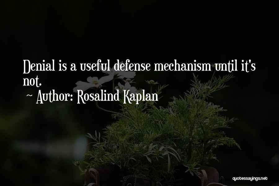 Rosalind Quotes By Rosalind Kaplan