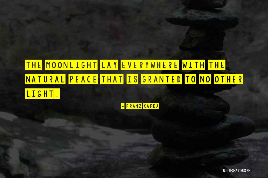 Rosamilia Brungard Quotes By Franz Kafka Rosamilia Brungard Quotes By Franz Kafka