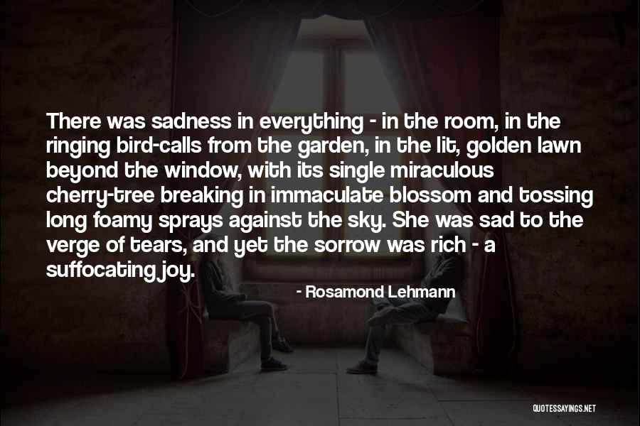Rosamond Lehmann Quotes 1700907 Rosamond Lehmann Quotes 1700907