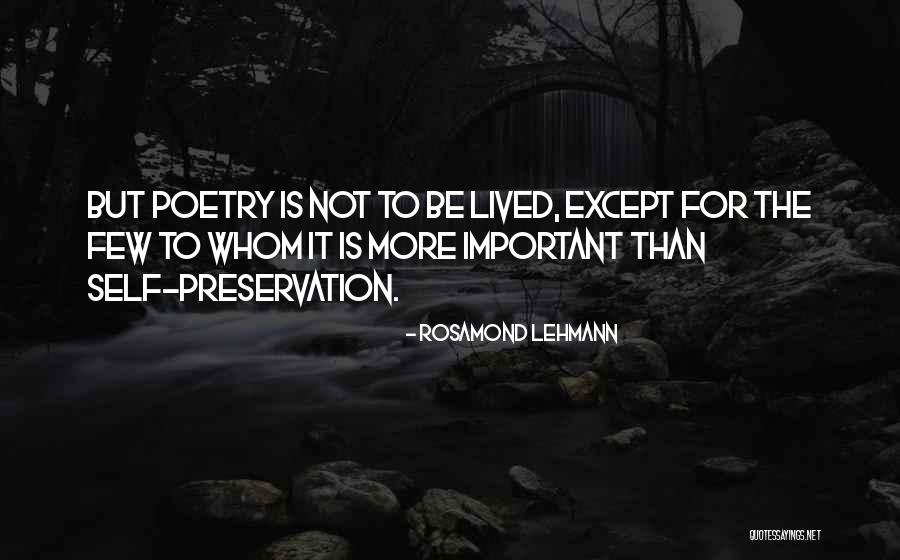 Rosamond Lehmann Quotes 459409