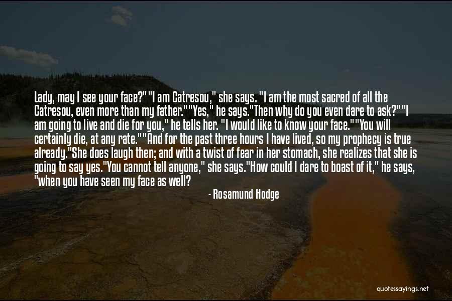 Rosamund Hodge Quotes 1324410