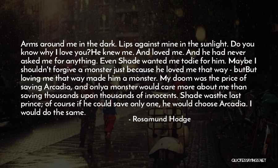 Rosamund Hodge Quotes 426170