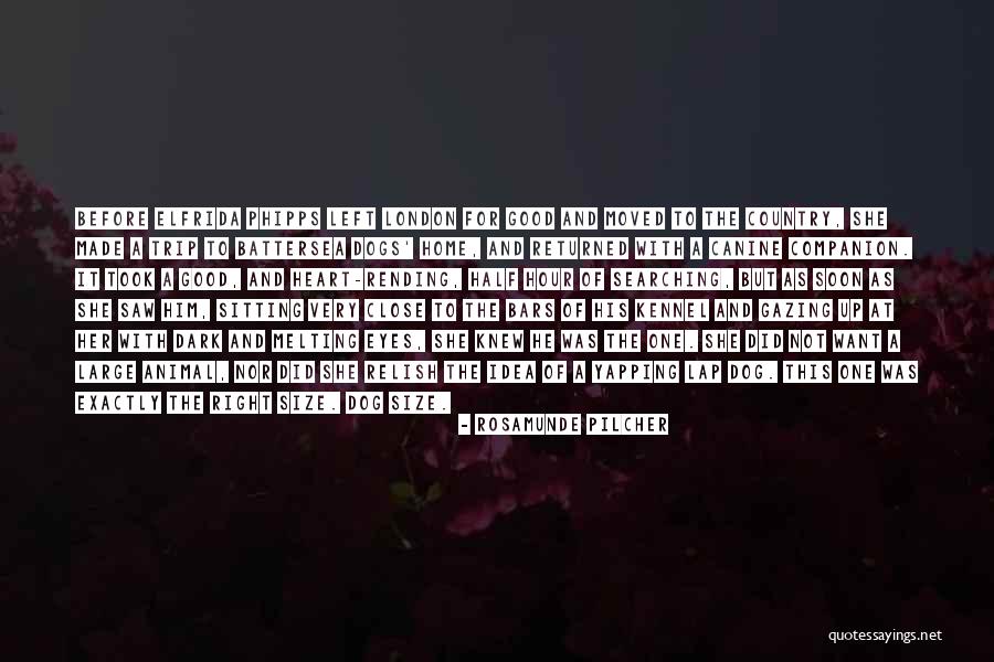 Rosamunde Pilcher Quotes 1399258 Rosamunde Pilcher Quotes 1399258