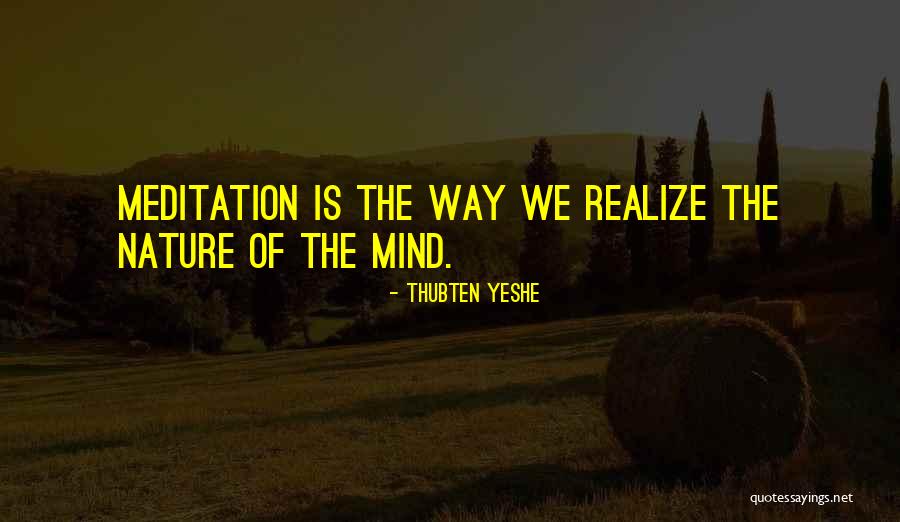 Rosane Cardoso Quotes By Thubten Yeshe Rosane Cardoso Quotes By Thubten Yeshe