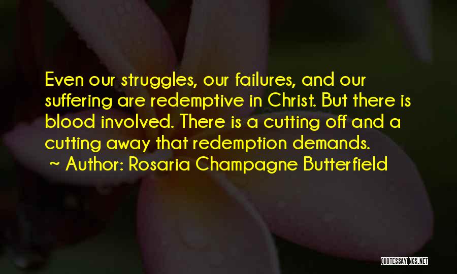 Rosaria Champagne Butterfield Quotes 1232914