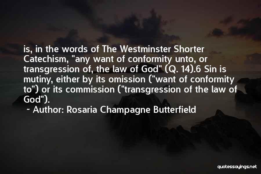 Rosaria Champagne Butterfield Quotes 163053