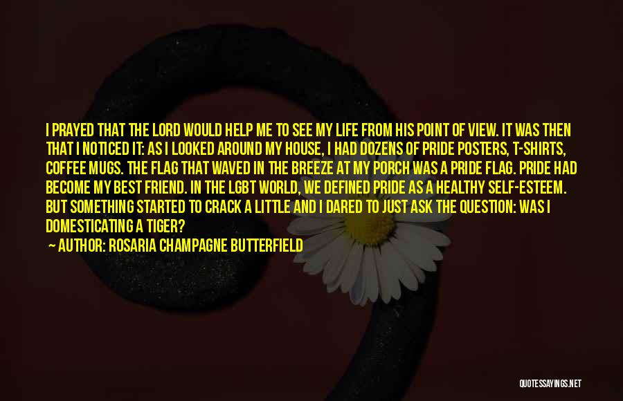 Rosaria Champagne Butterfield Quotes 1969126